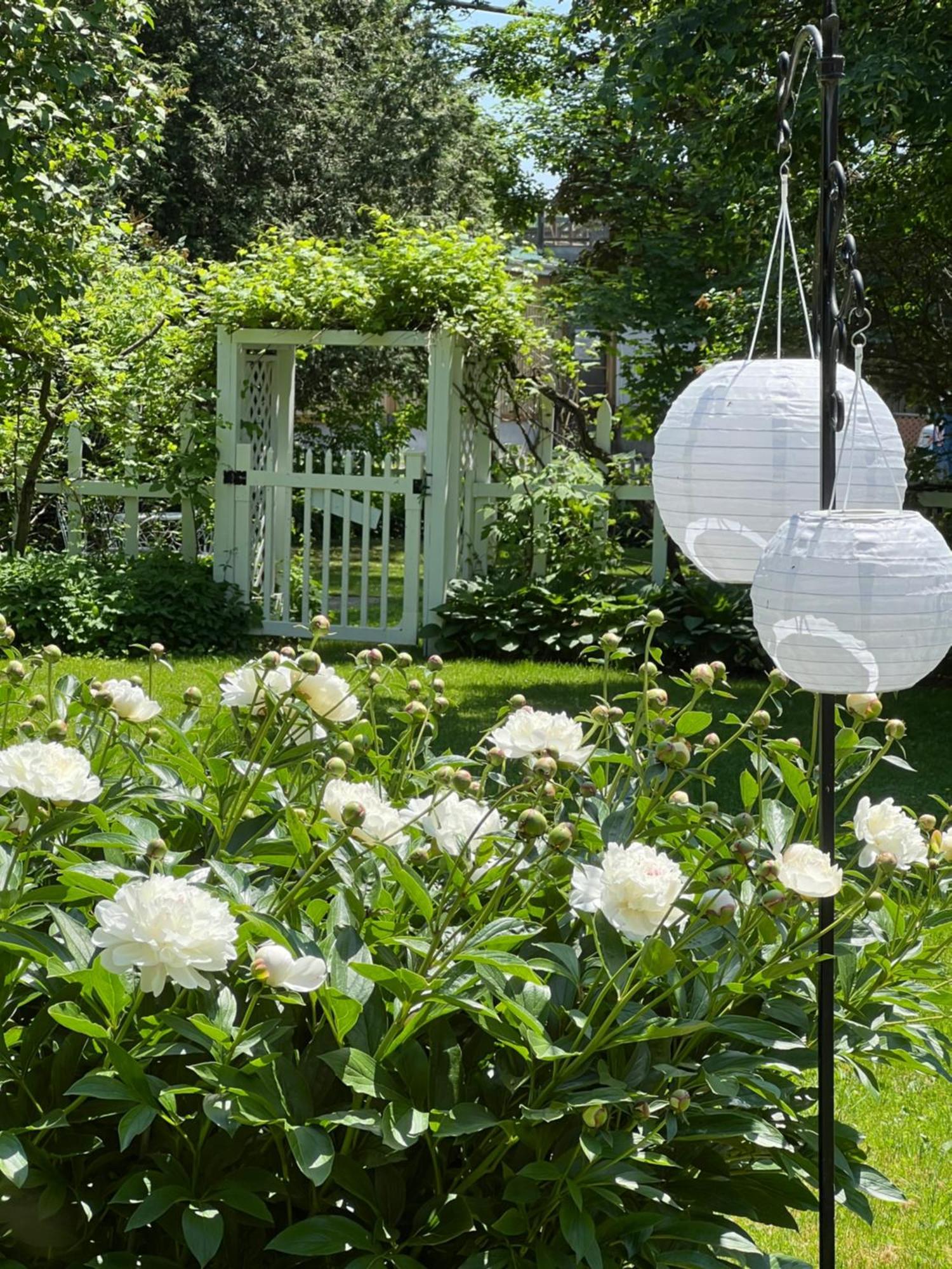 Les Trois Erables Boutique Inn Вейкфілд Екстер'єр фото