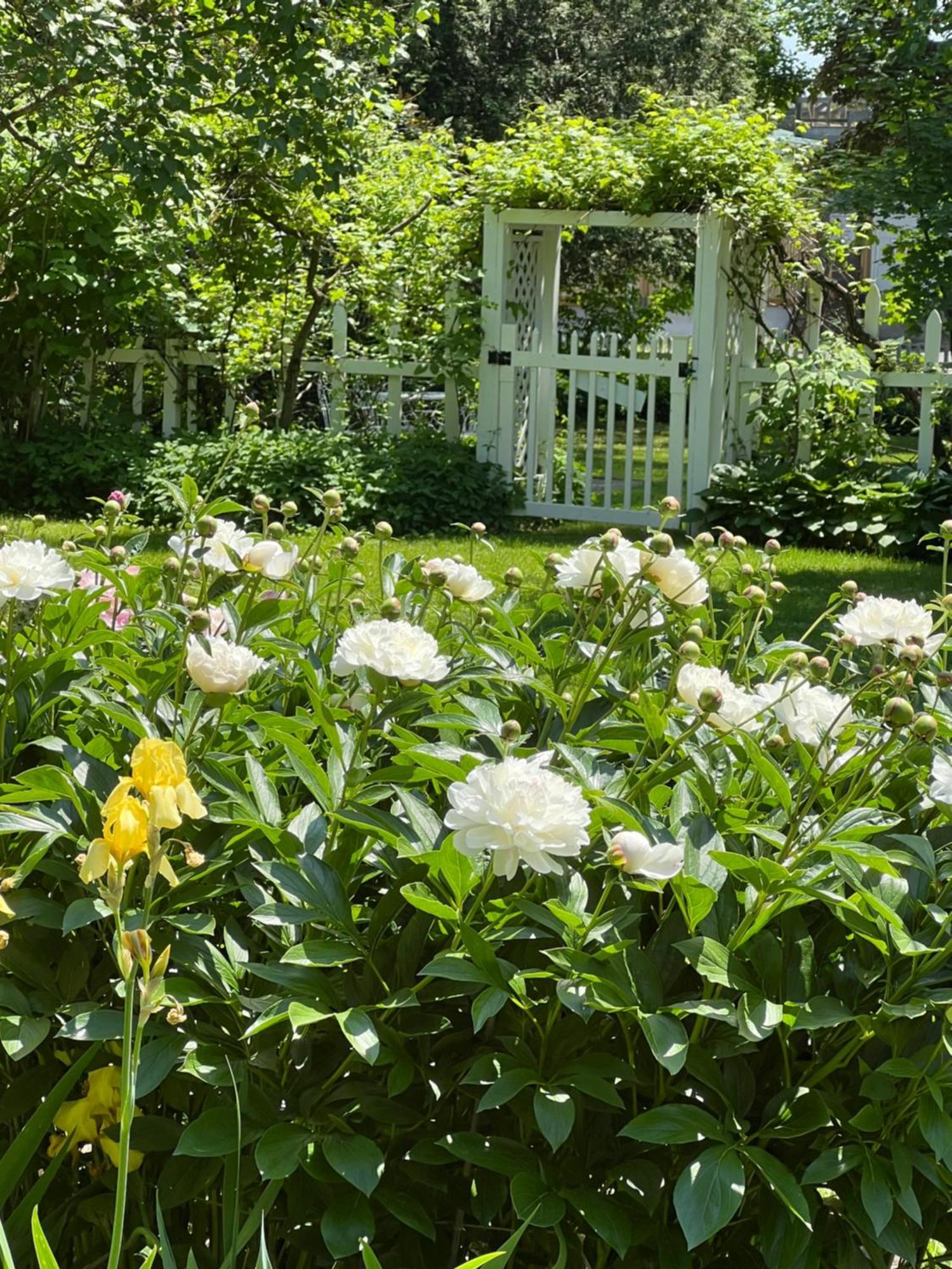 Les Trois Erables Boutique Inn Вейкфілд Екстер'єр фото